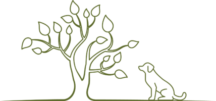 Coaching speziell für Hundehalter
